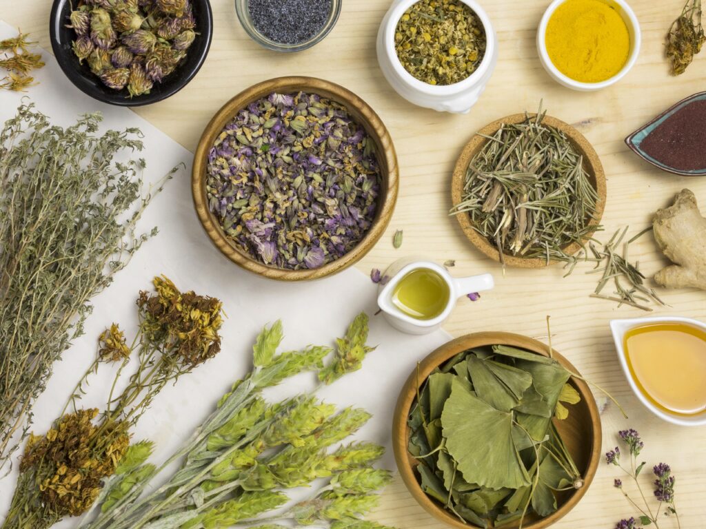 10 Medicinal Plants