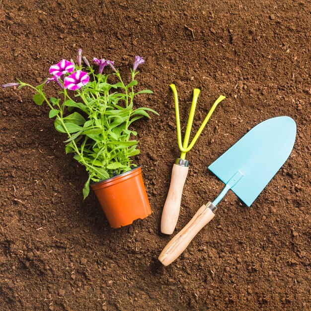 Gardener