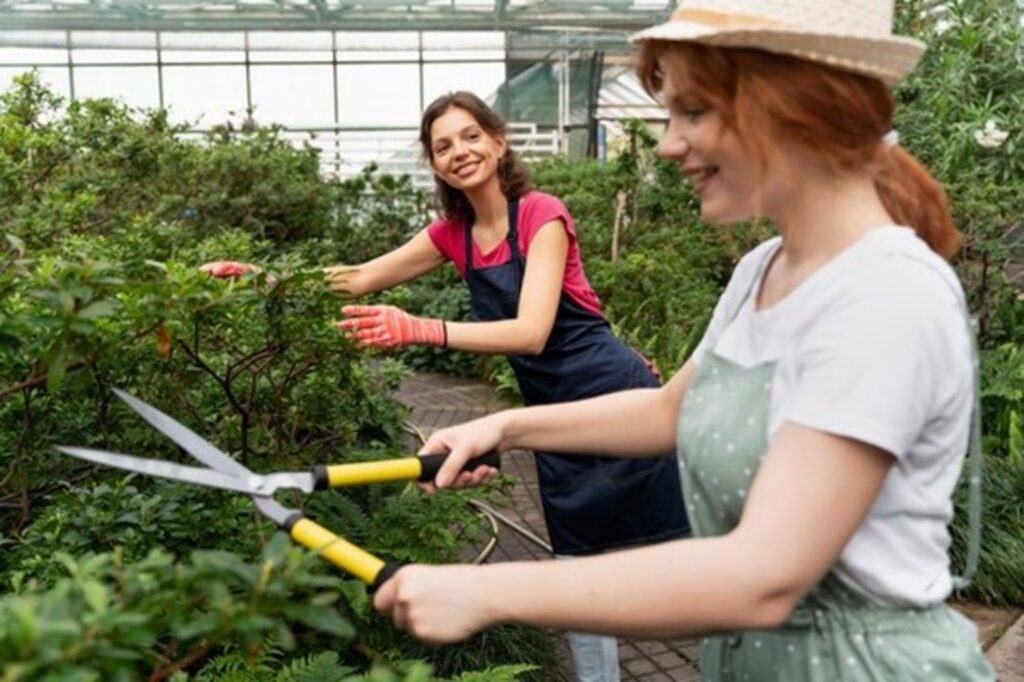Designing Your Outdoor Garden