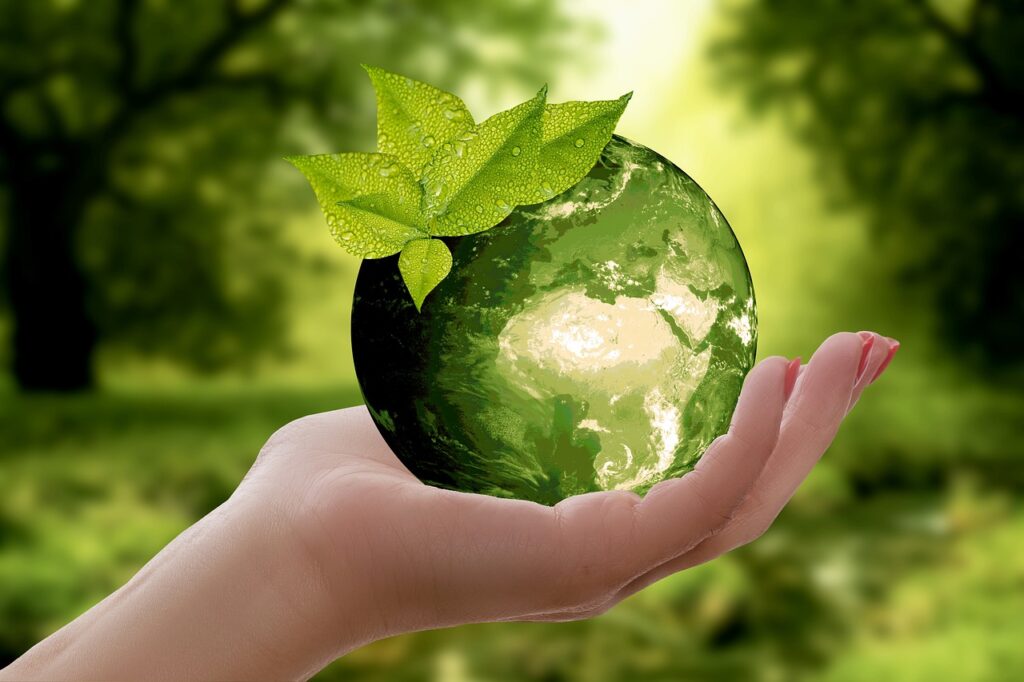 Sustainable living