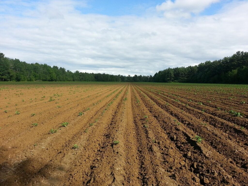 Makes Soil Healthy Again