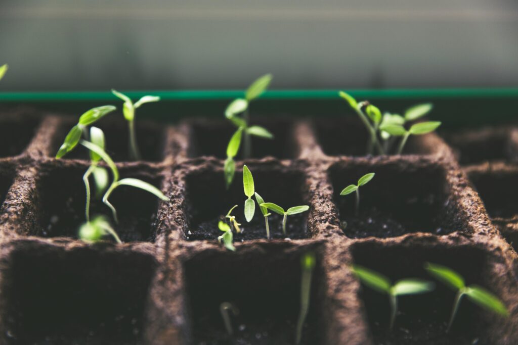 safe plant structure