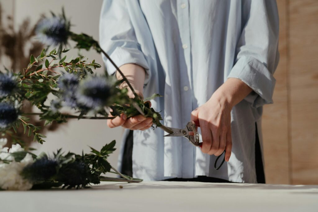 plant triming