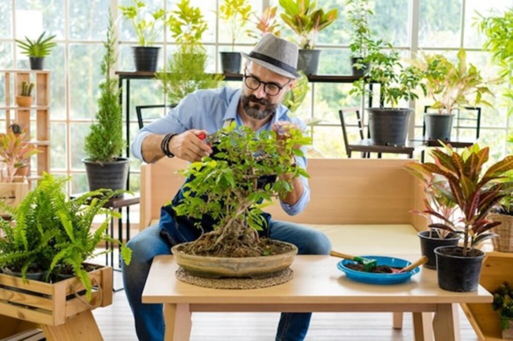 10 Best Plants for Your Home Garden