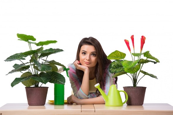 Neglecting Seasonal Needs