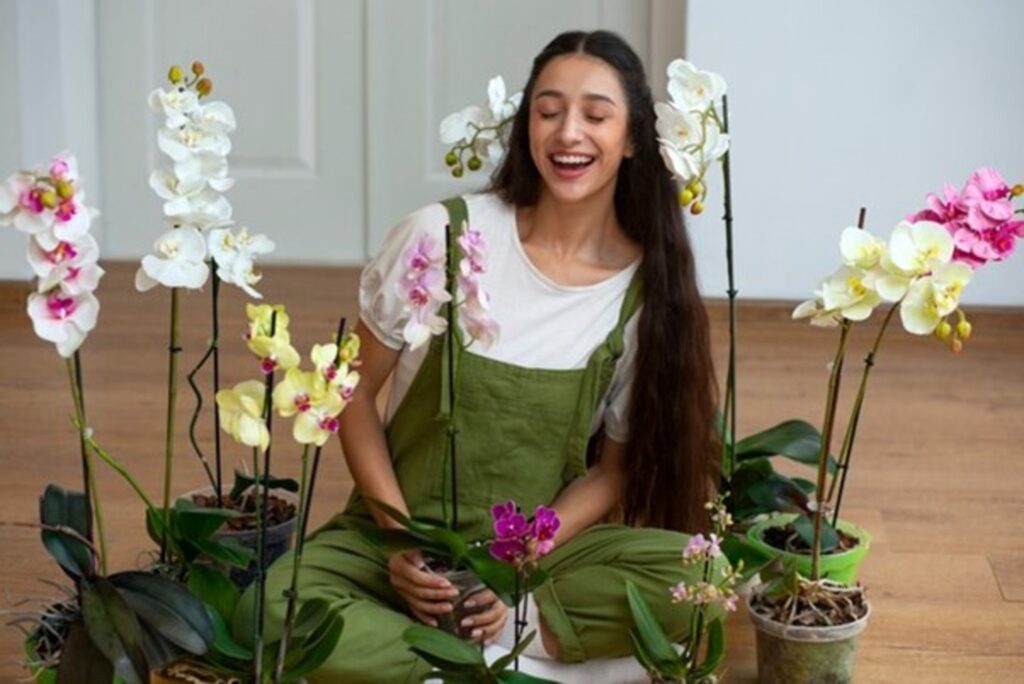 Benefits of Growing Traditional Flowers at Home