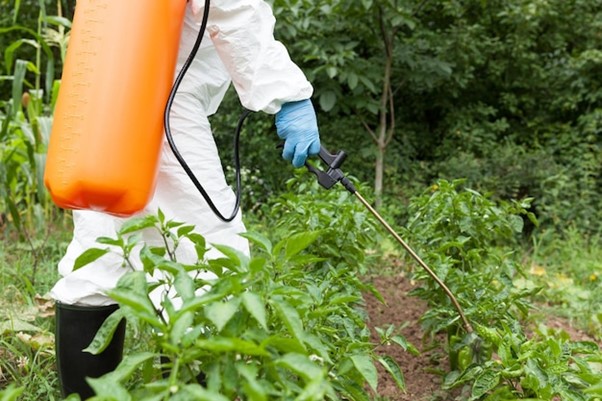 Forgetting Pest Control