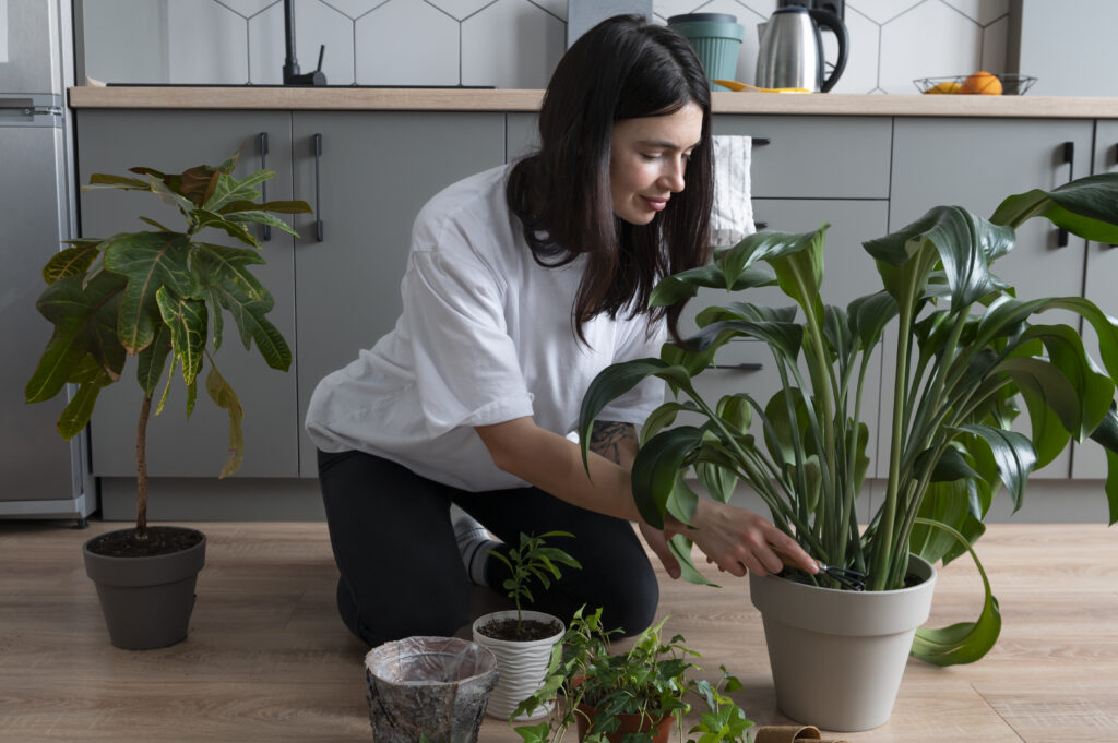 Healthy Plants, Happy Garden: Mistakes You Must Avoid