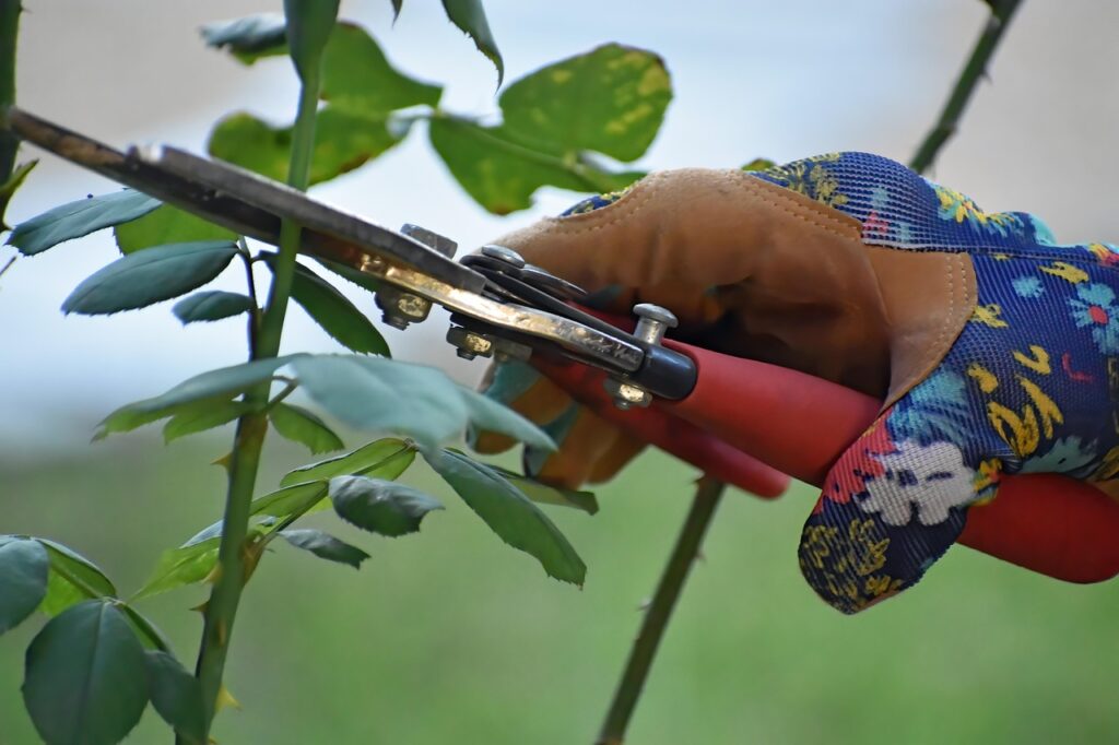 Ignoring Pruning