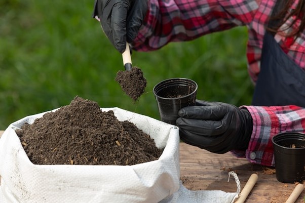 5. Skipping Fertilizers