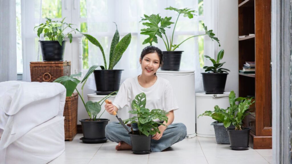 Tips for Beginners in Flower Gardening