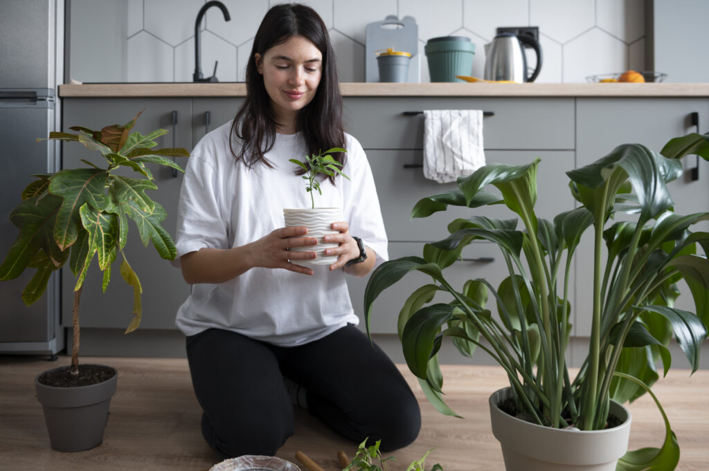 Your Happy Garden Journey