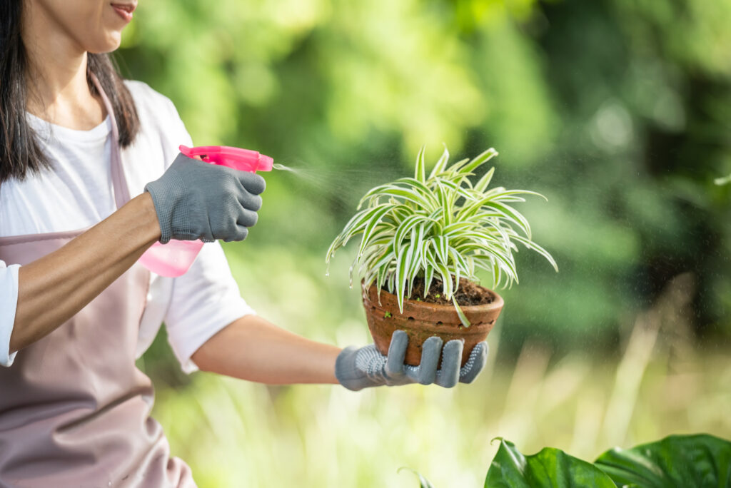 gardener in delhi