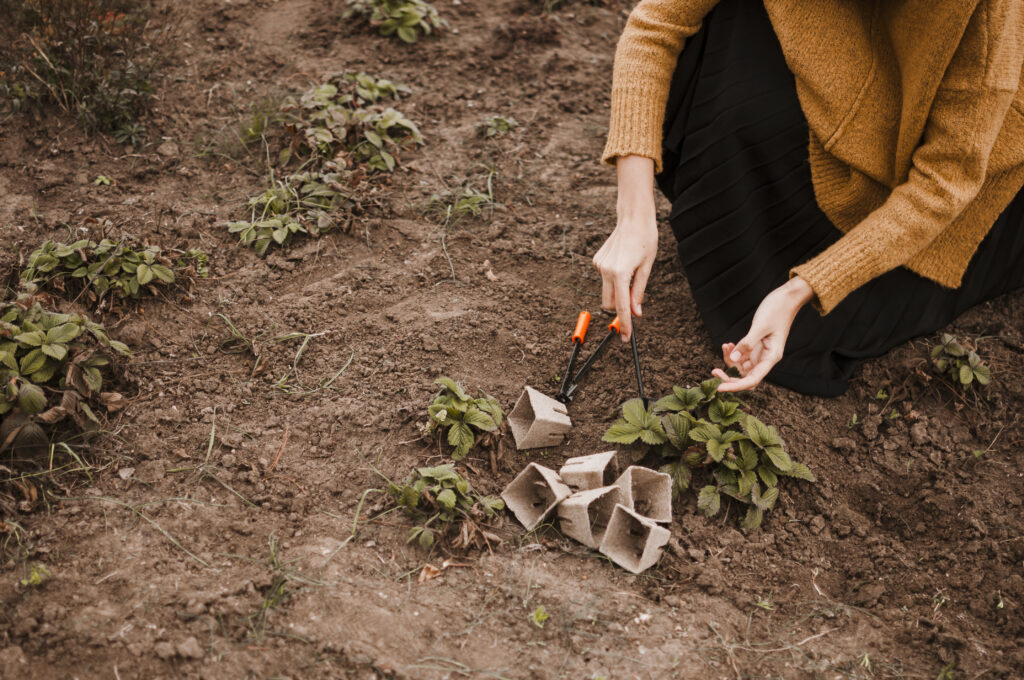 Using the Wrong Soil