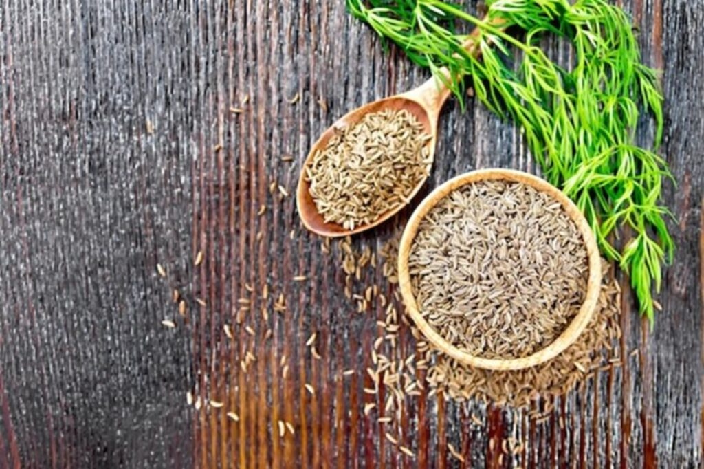 About Lawn Grass