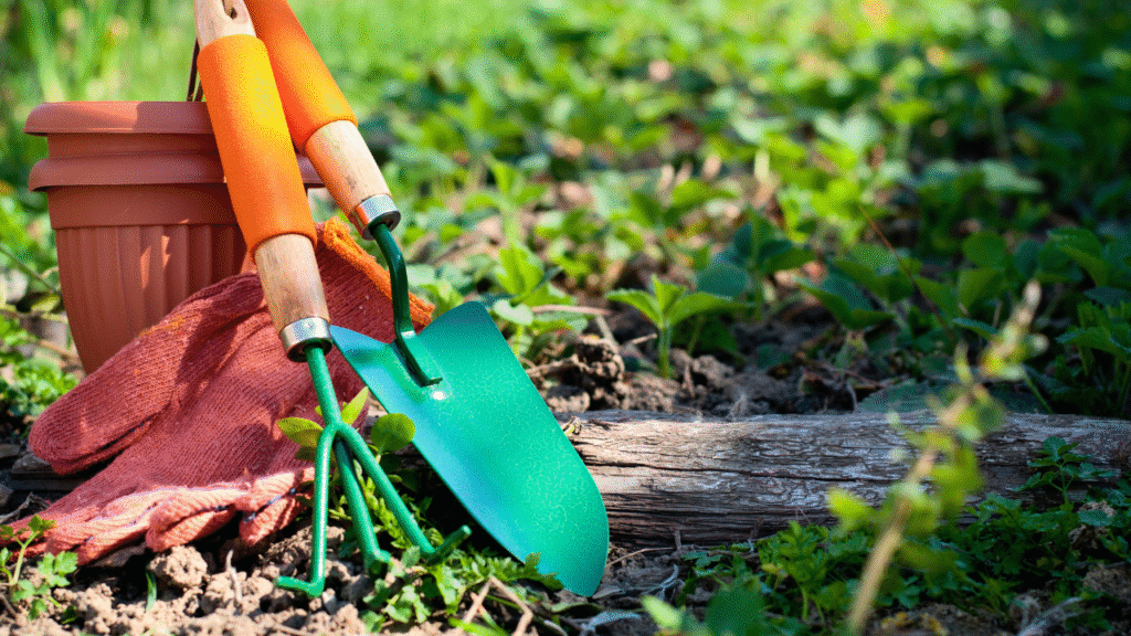 Maintenance carpet grass