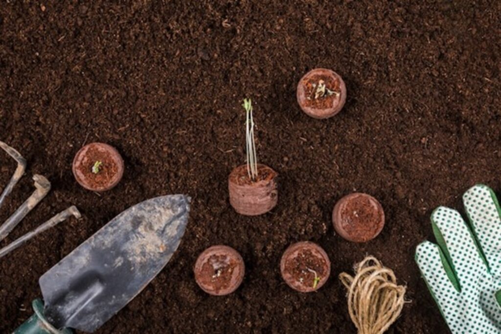 Step-by-Step: How to Sow Lawn Grass Seeds