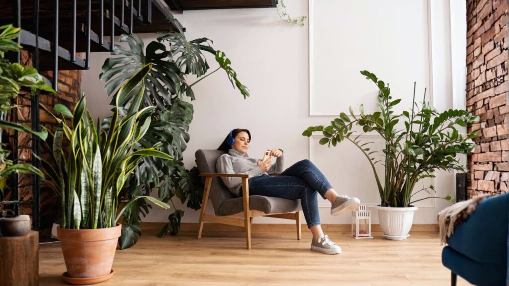 Best Locations to Place These Plants