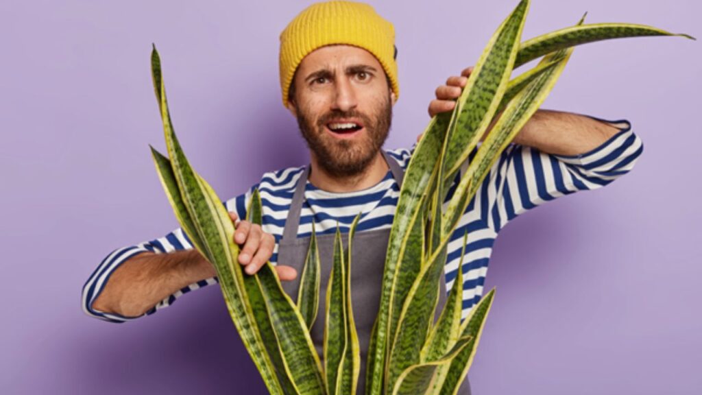 strong smelling plants that repel snakes