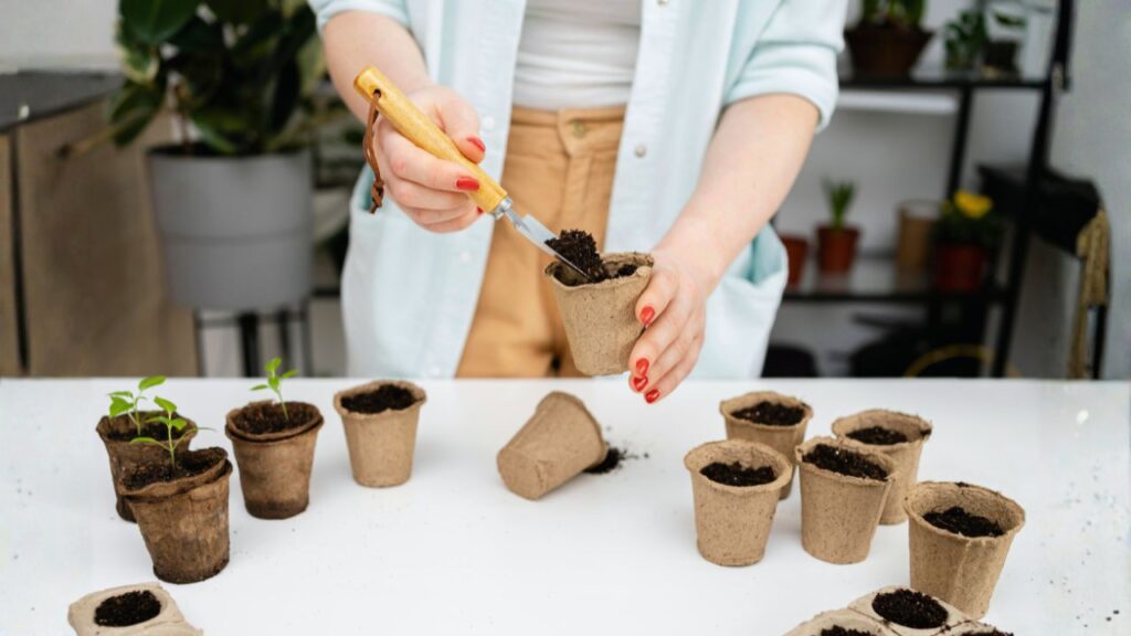 When Plants Aren’t Enough -Complementary Measures