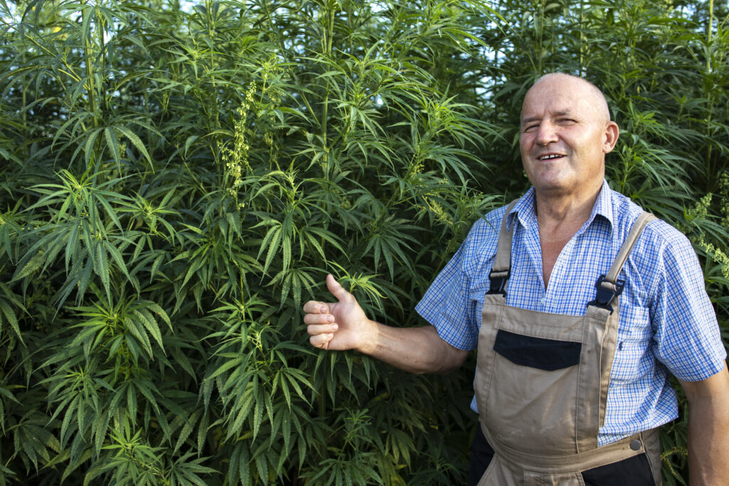 Pre-emergent weed control