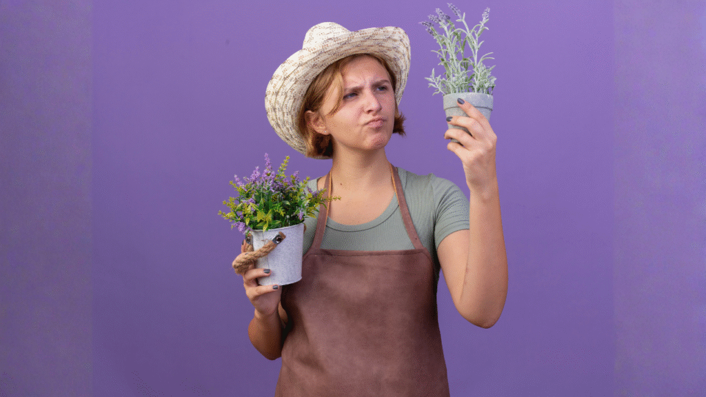cold weather flowers India