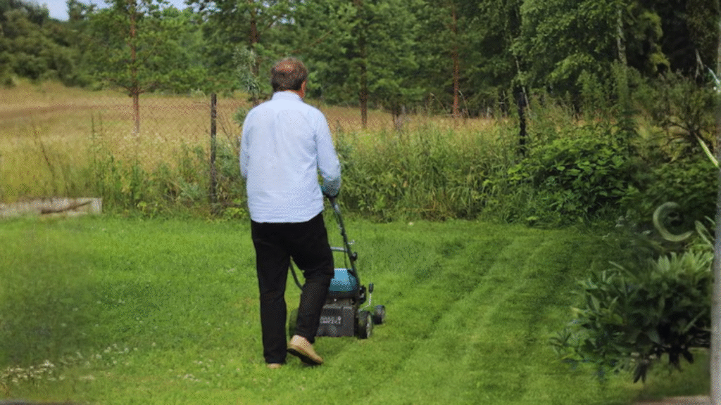 best grass for Indian lawns