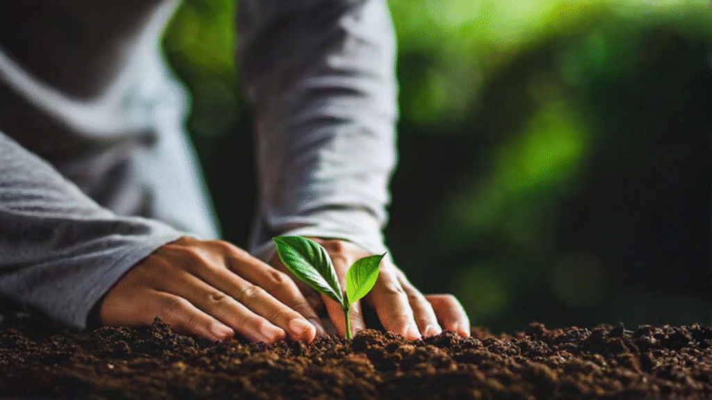 scented plants for home garden