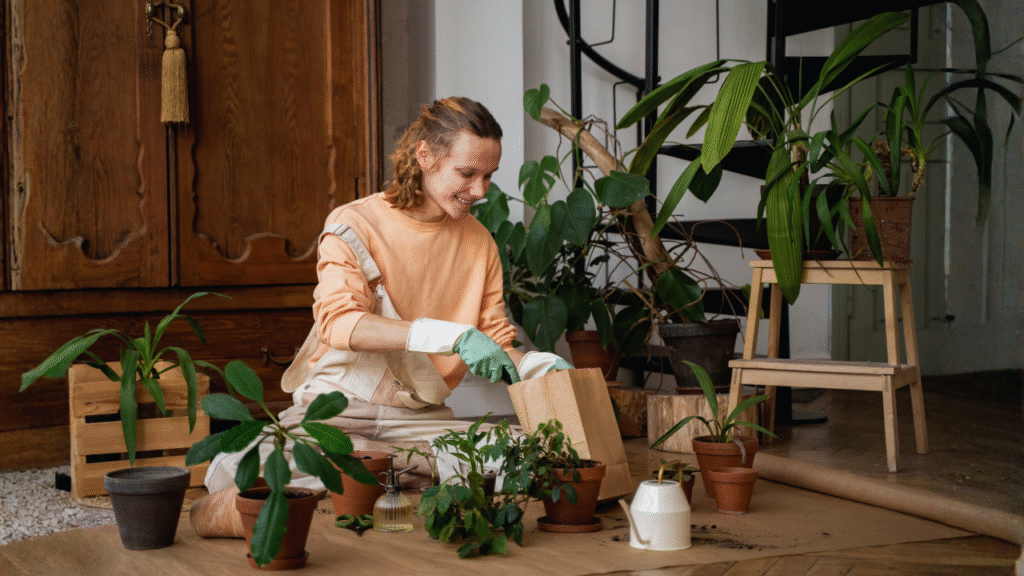 aromatic plants for Indian climate