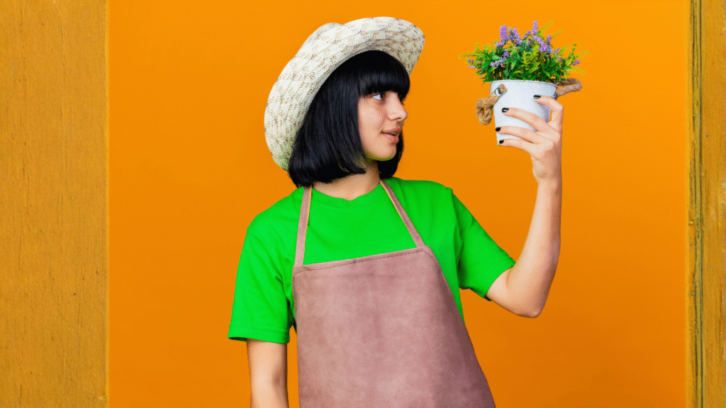 aromatic herbs for kitchen garden