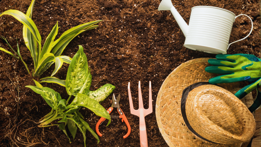 easy growing winter flowers