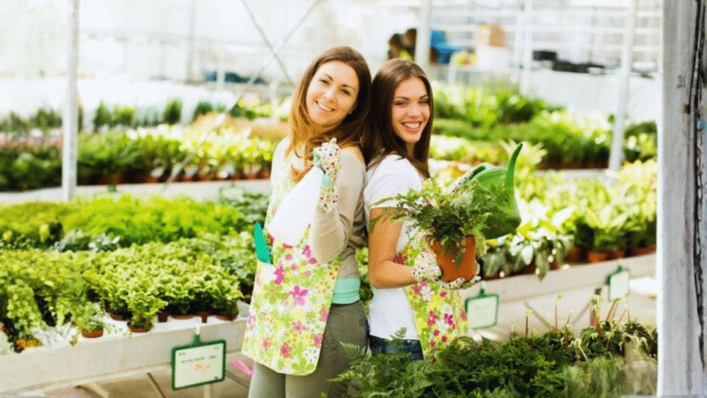 Perennial summer flowers India