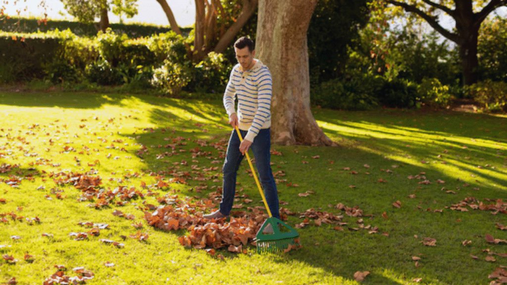 lawn area maintenance services