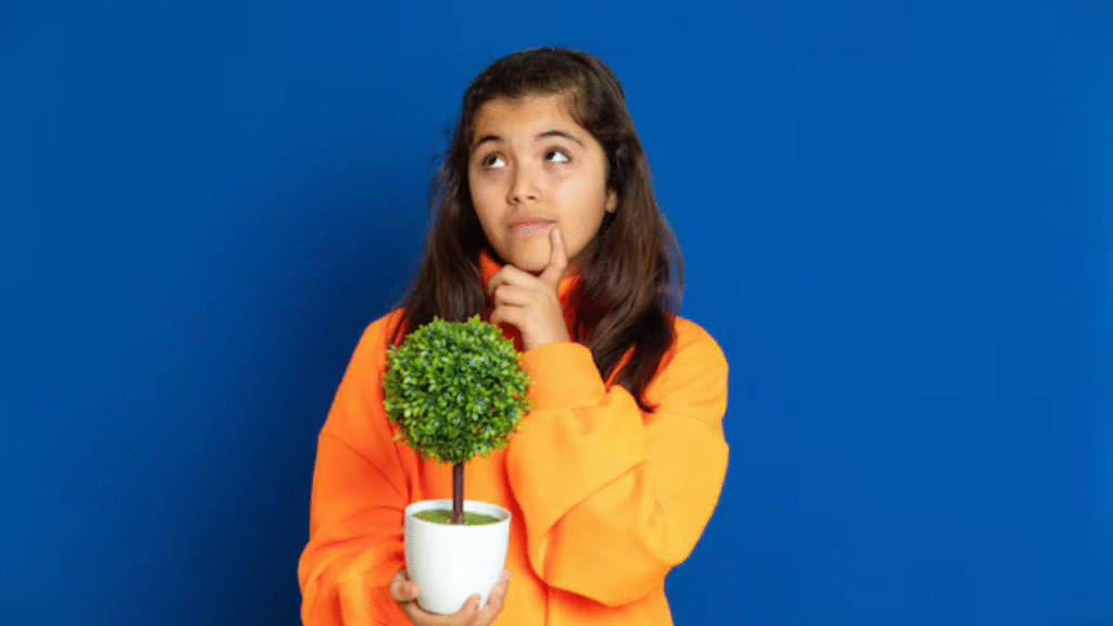 indoor plants that look like palm trees