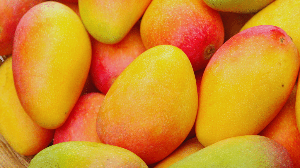 Kesar mango season