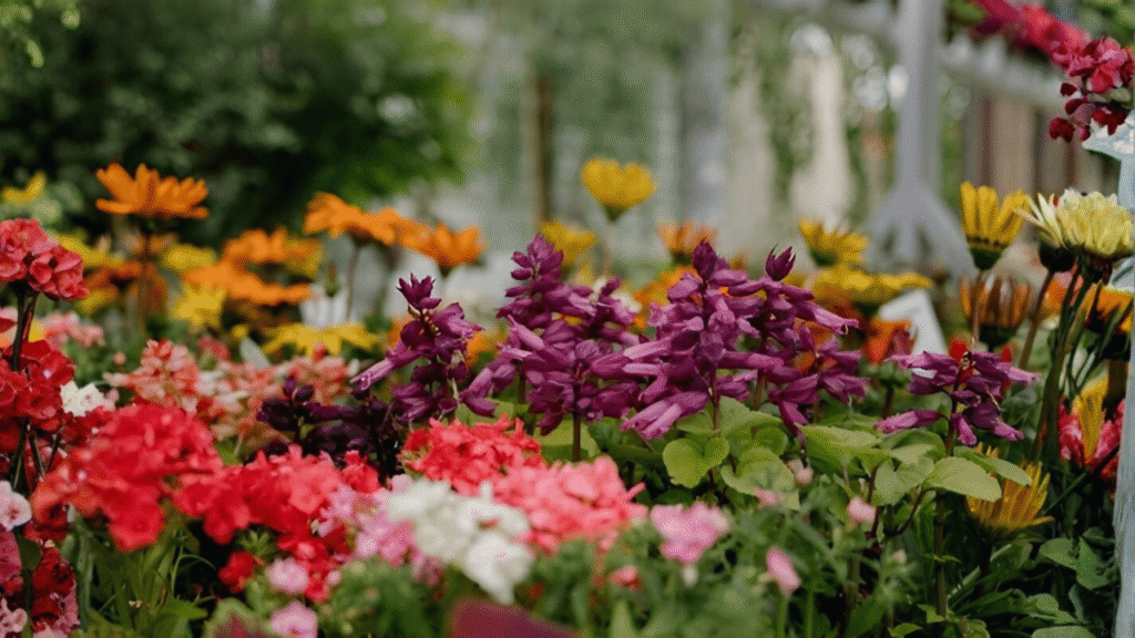 Best plants for home garden in India