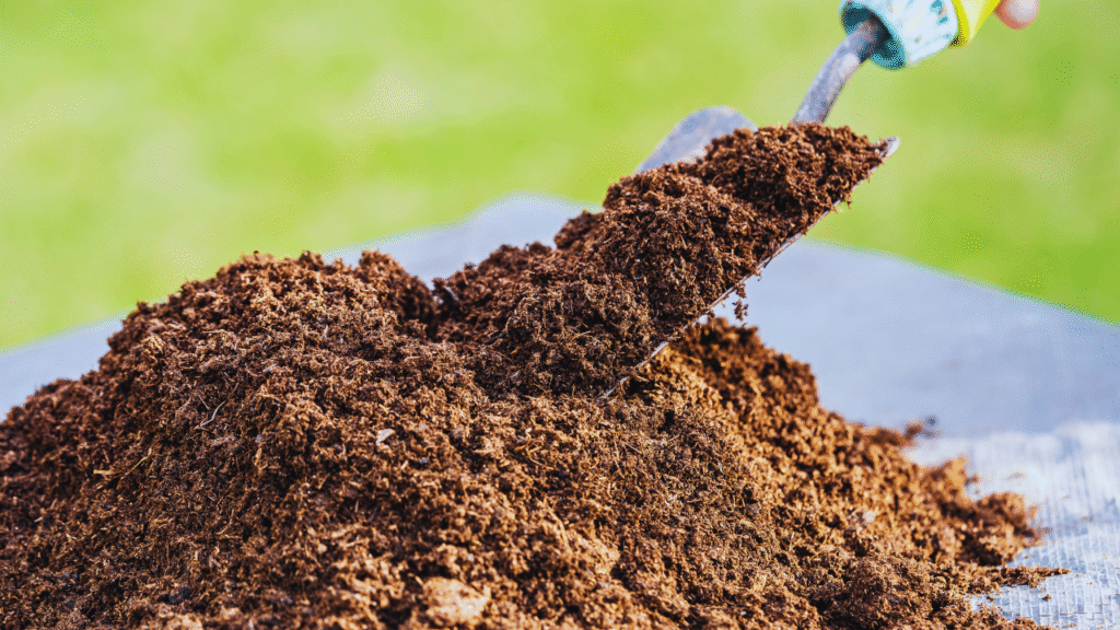 coco peat vs soil