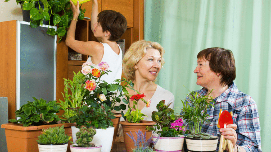 Garden flowers that bloom all year