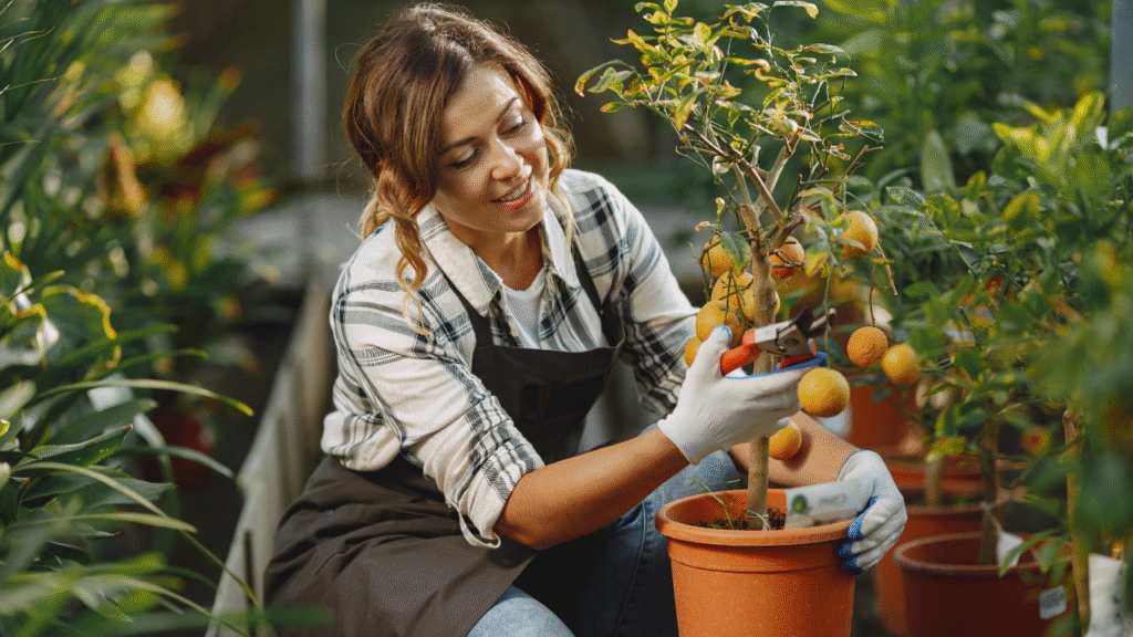 best fruit plants for balcony in summer