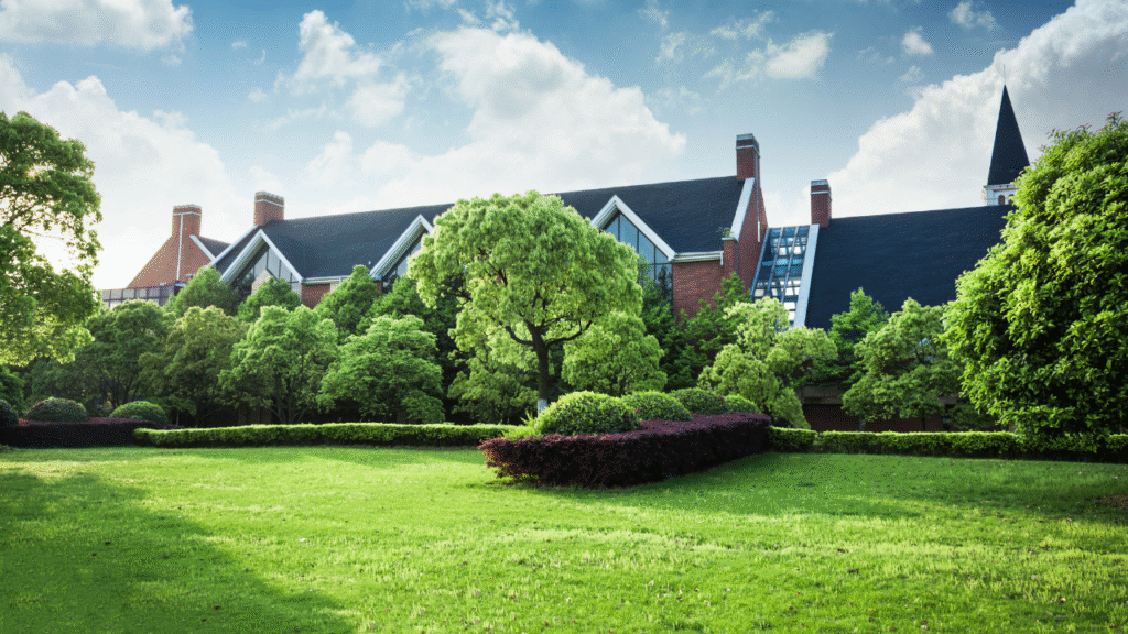 grass seed for Indian climate
