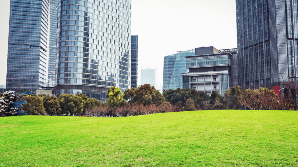 low maintenance garden grass
