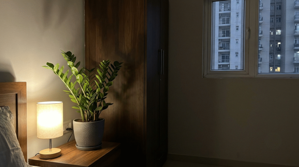 Peace lily with a white flower on a bedside table